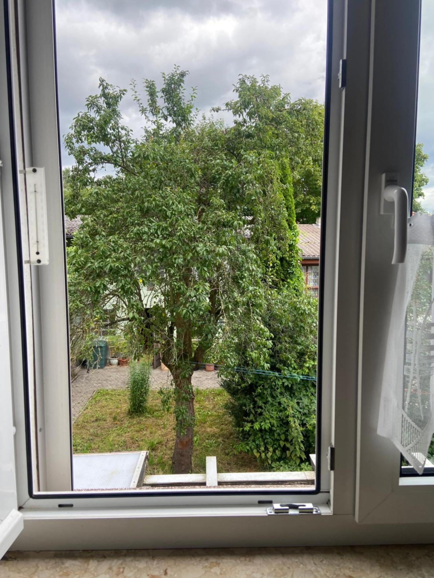Stadtzentrumnahe Wohnung An Der Gruenen Aue, Kostenfreier Parkplatz Fulda Eksteriør billede
